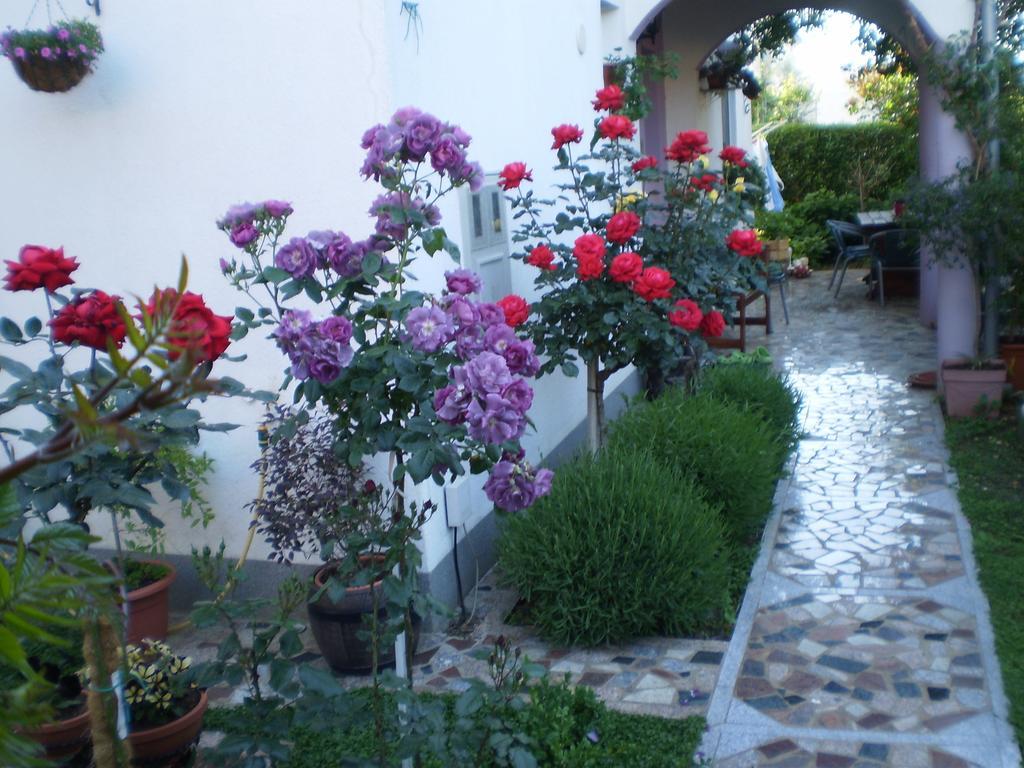 Apartments Nada Bibinje Εξωτερικό φωτογραφία
