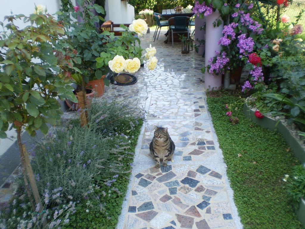 Apartments Nada Bibinje Εξωτερικό φωτογραφία